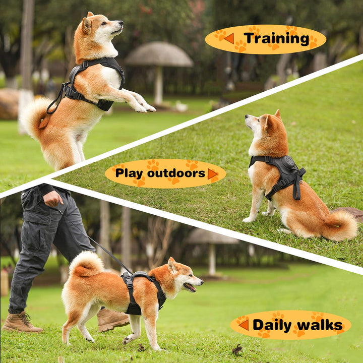 Lisslune | mamymarket™ - Dog Harness and Retractable Leash Set All-in-One