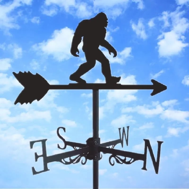 Lisslune | Stainless Steel Weather Vane!