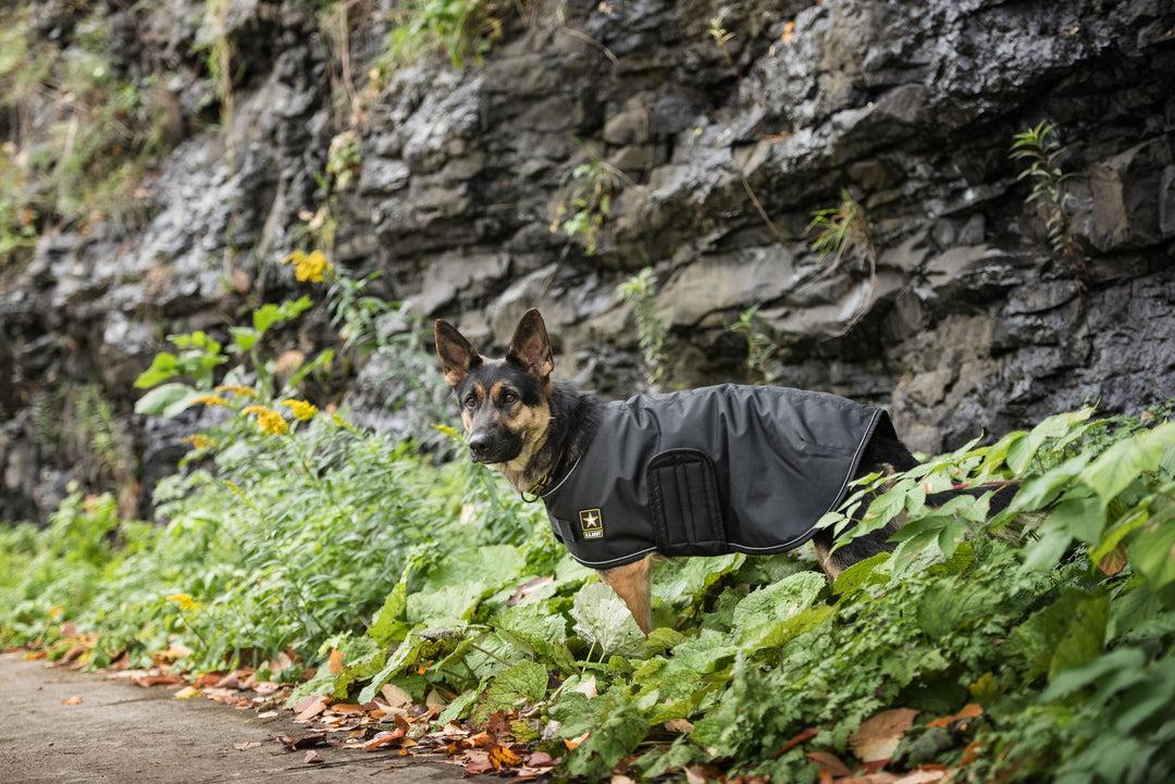 Lisslune | Dog fleece jacket