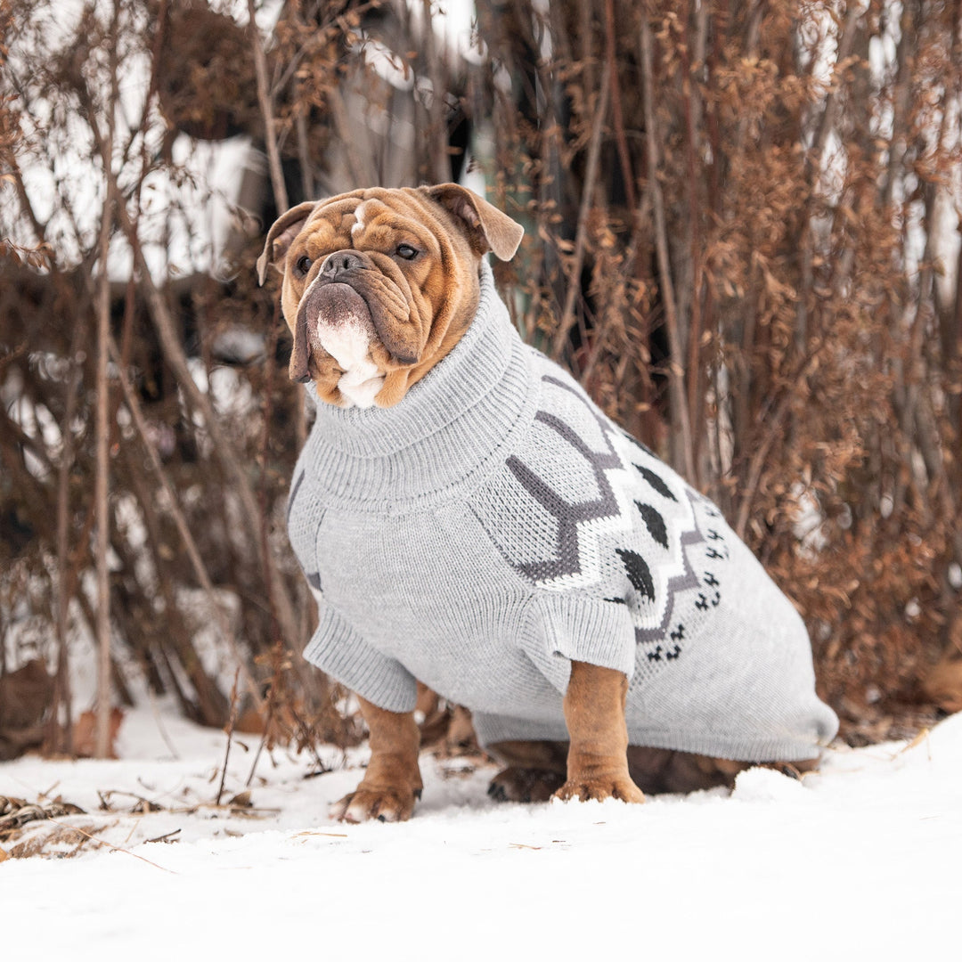 Lisslune | Heritage Sweatshirt - Gray Mix