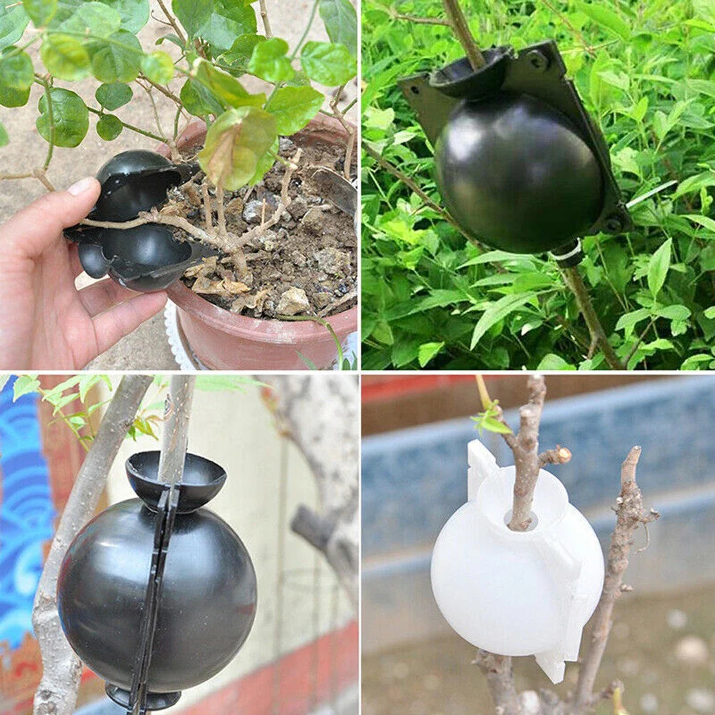Lisslune | Plant protection balls for roots – Protective caps for safe replanting and growth
