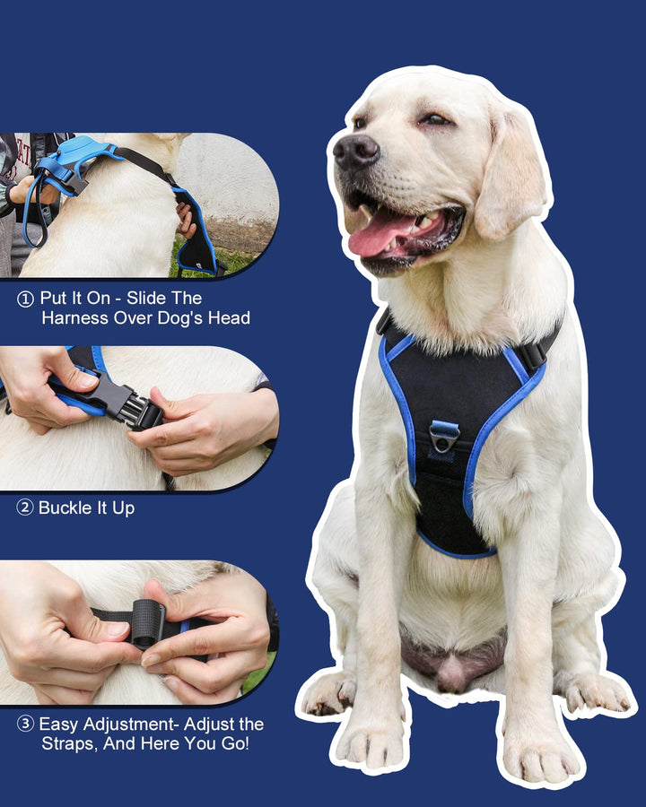 Lisslune | mamymarket™ - Dog Harness and Retractable Leash Set All-in-One