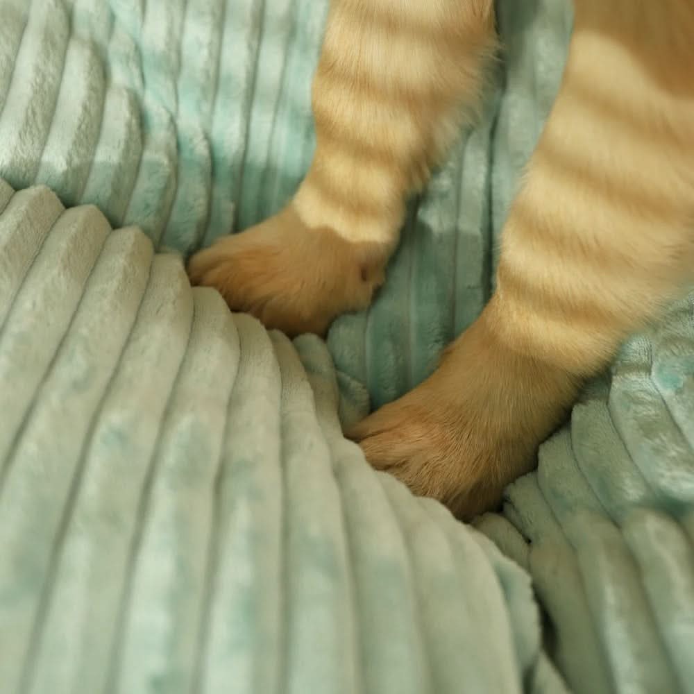 Lisslune | FLURRYPAW