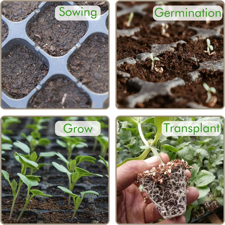 Lisslune | Rectangular Plant Bowl – Seedling Tray for Efficient Germination and Growth of Seedlings
