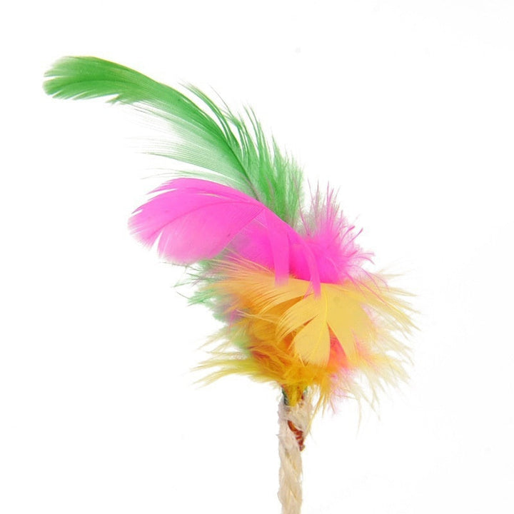 Lisslune | Cat Scratching Ball Toy
