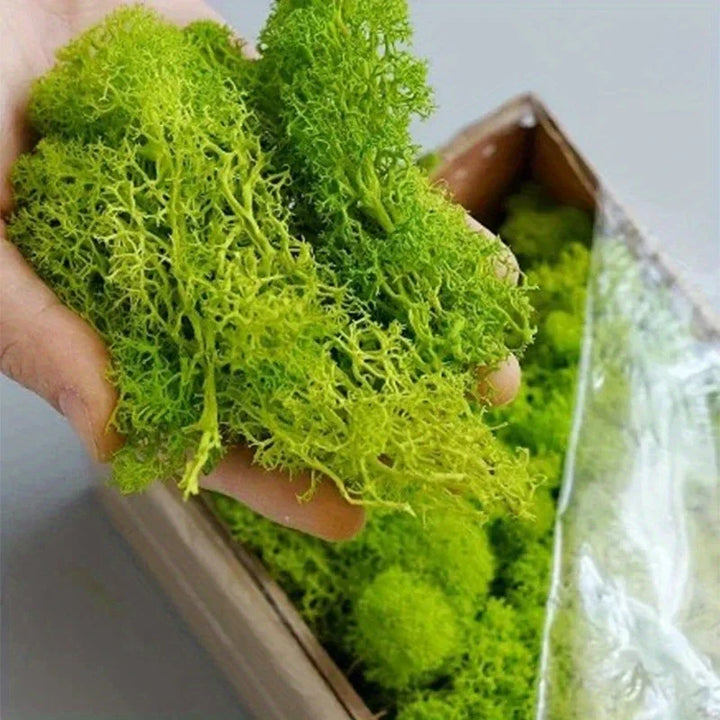 Lisslune | Artificial Moss for Landscaping – Moss and Flowers for Decoration and Floristry