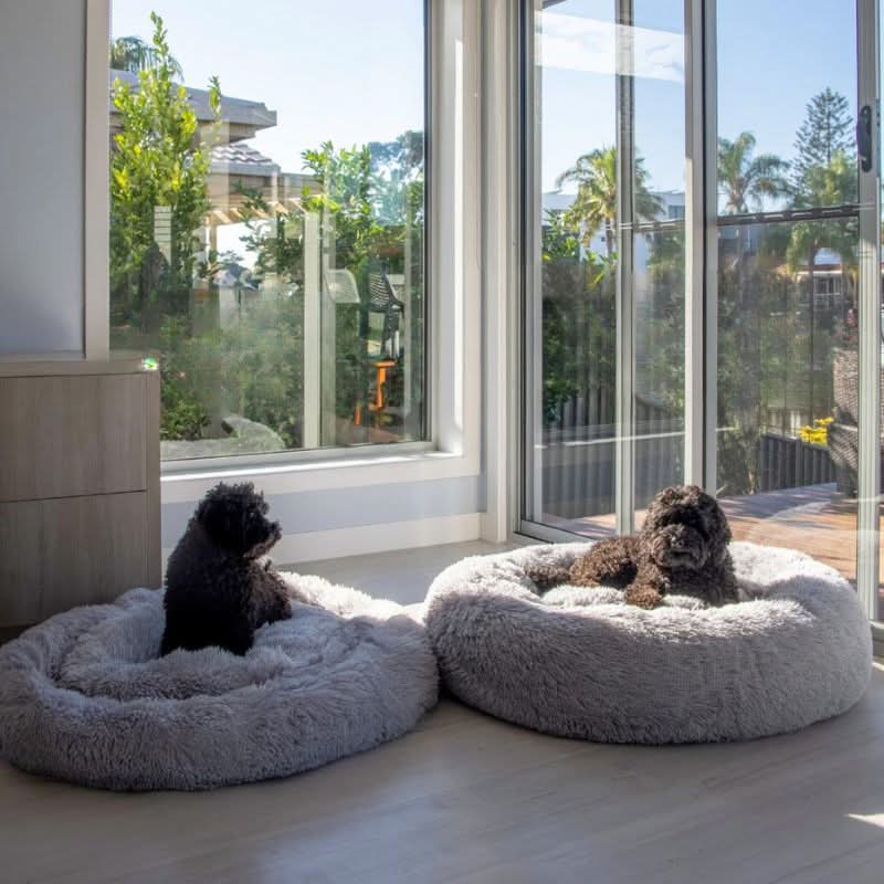 Lisslune | PAWLOFT - Calming Pet Bed