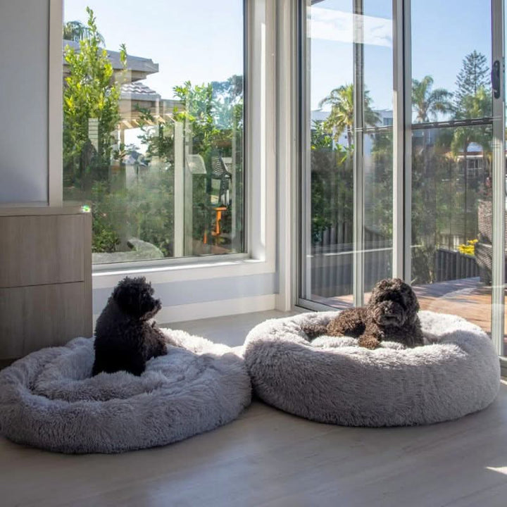 Lisslune | PAWLOFT - Calming Pet Bed