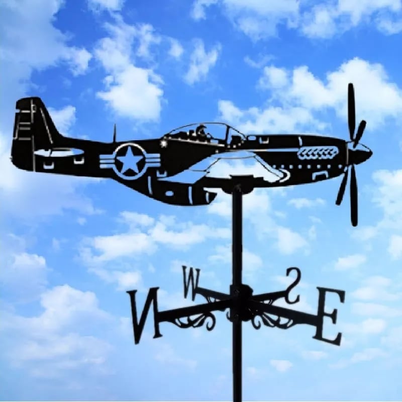 Lisslune | Stainless Steel Weather Vane!