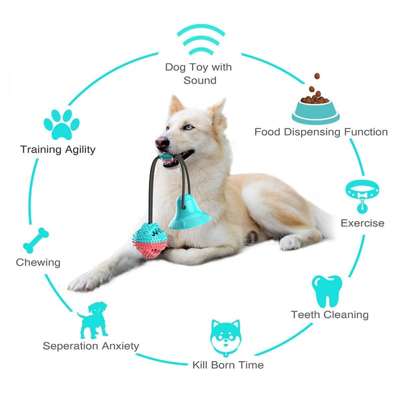 Lisslune | Silicone Suction Cup Dog Toy Dress