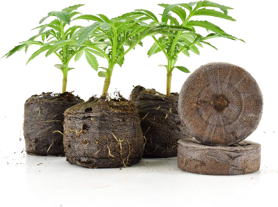 Lisslune | Coconut Fiber Peat Seedling Pellets – Starter for Seed Planting