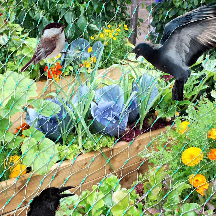 Lisslune | Protective net for garden plants – Green net against pests and animals