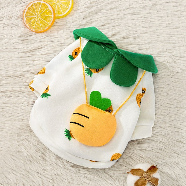 Lisslune | Satchel pet clothes
