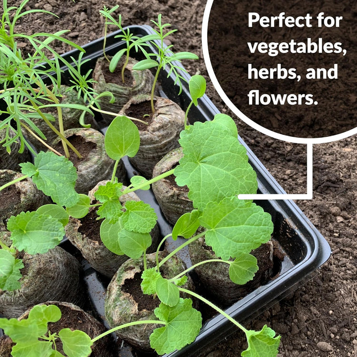 Lisslune | Coconut Fiber Peat Seedling Pellets – Starter for Seed Planting