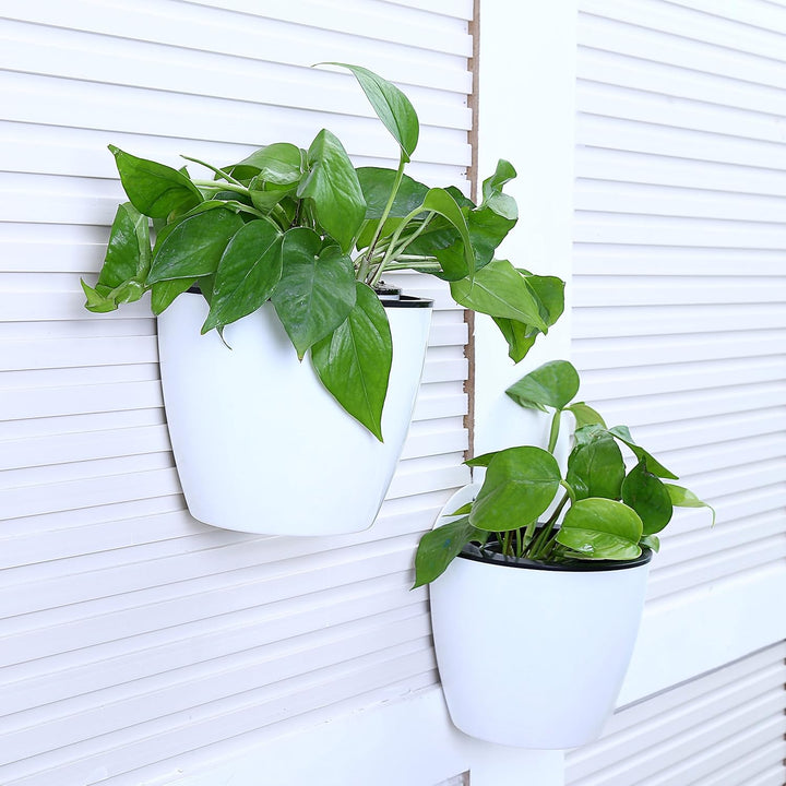 Lisslune | Self-watering hanging plant pot – Modern flower pot for wall mounting