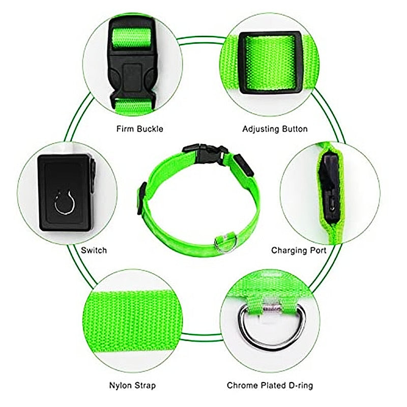 Lisslune | Luminous dog collar