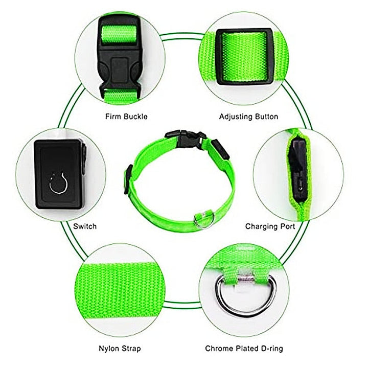 Lisslune | Luminous dog collar