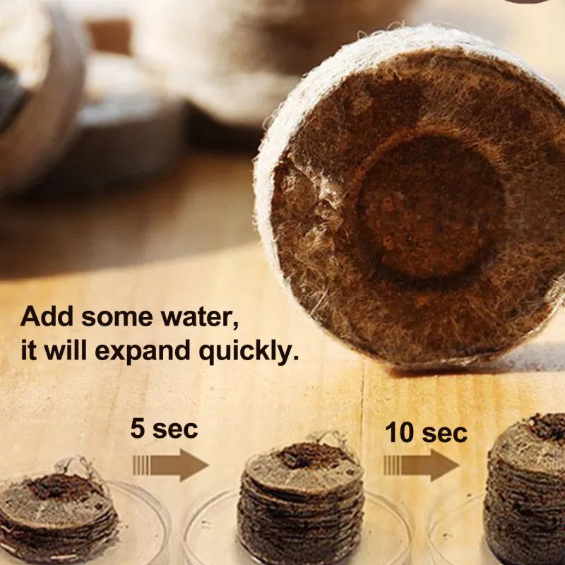 Lisslune | Coconut Fiber Peat Seedling Pellets – Starter for Seed Planting