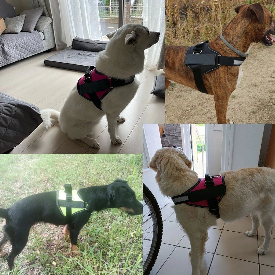 Lisslune | Anti Choke Dog Harness