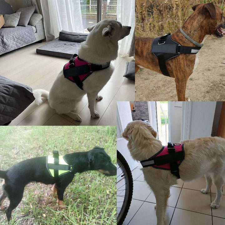Lisslune | Anti Choke Dog Harness