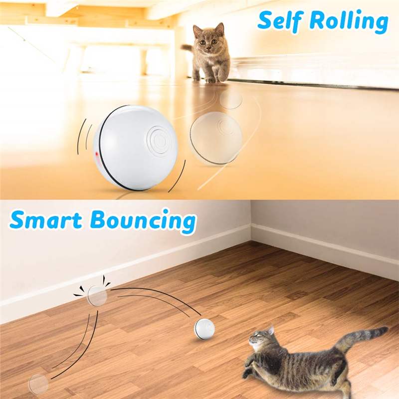 Lisslune | Smart Interactive Pet Ball