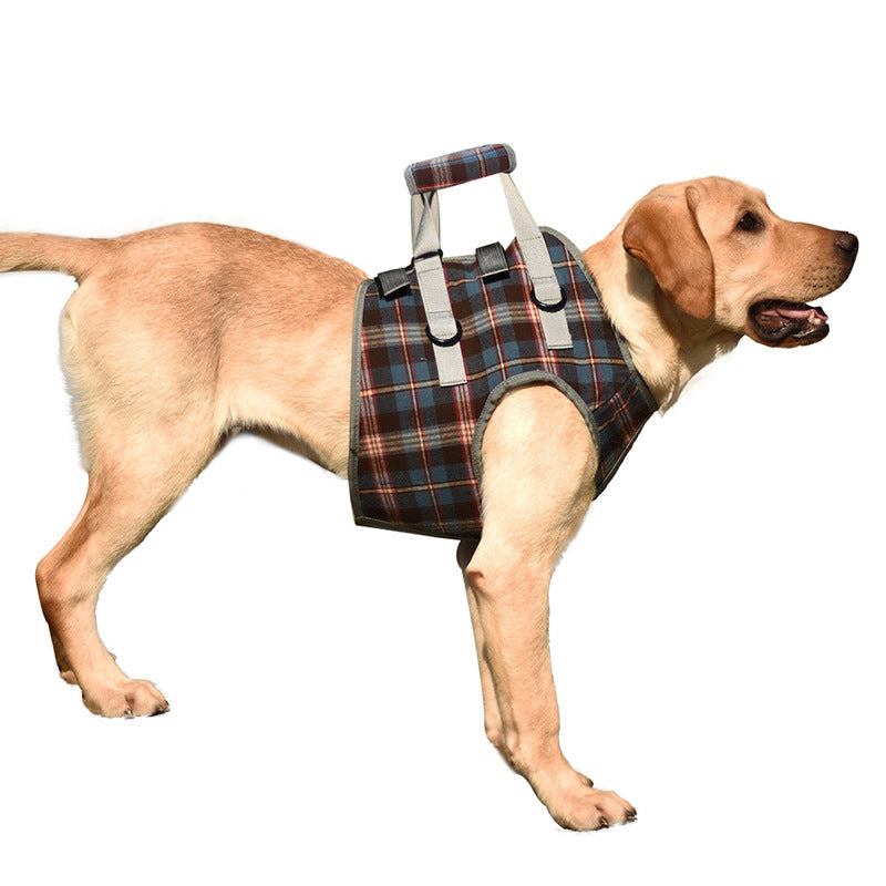 Lisslune | Orthopedic Strap for Hind Legs
