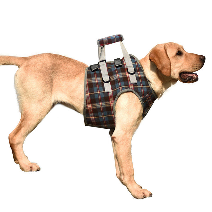 Lisslune | Orthopedic Strap for Hind Legs