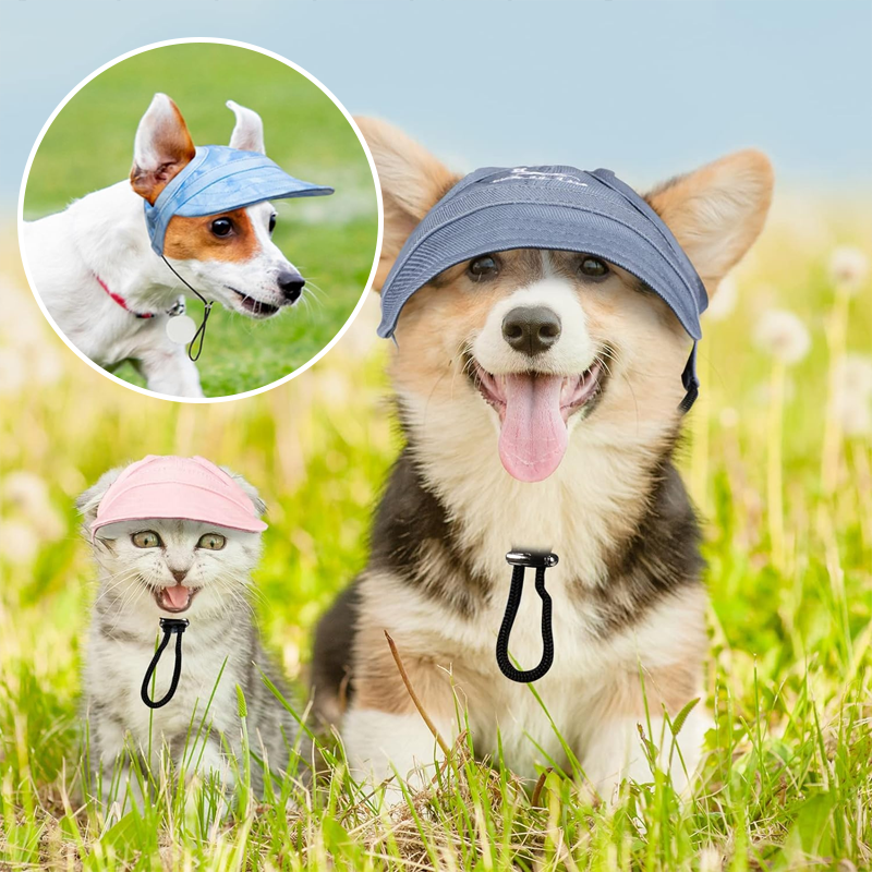 Lisslune | Outdoor Sun Protection Hood for Dogs