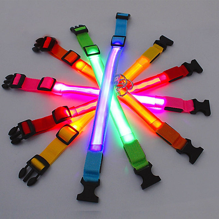 Lisslune | Luminous dog collar
