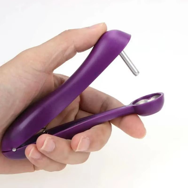 Lisslune | Cherry Pitter Remover Gadget