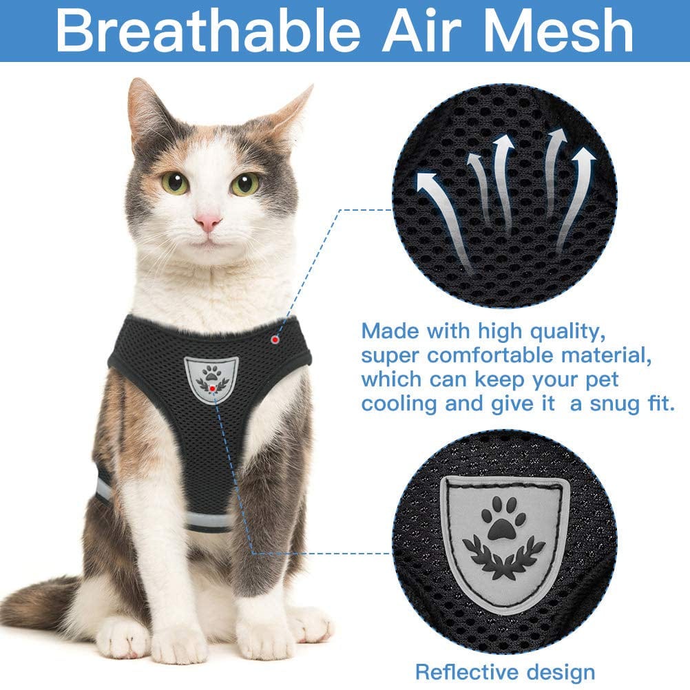 Lisslune | Cat collar and leash