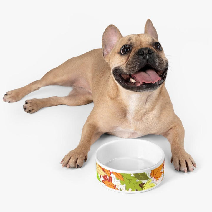 Lisslune | Stylish Handmade Ceramic Pet Bowl for Elegant Pet Owners