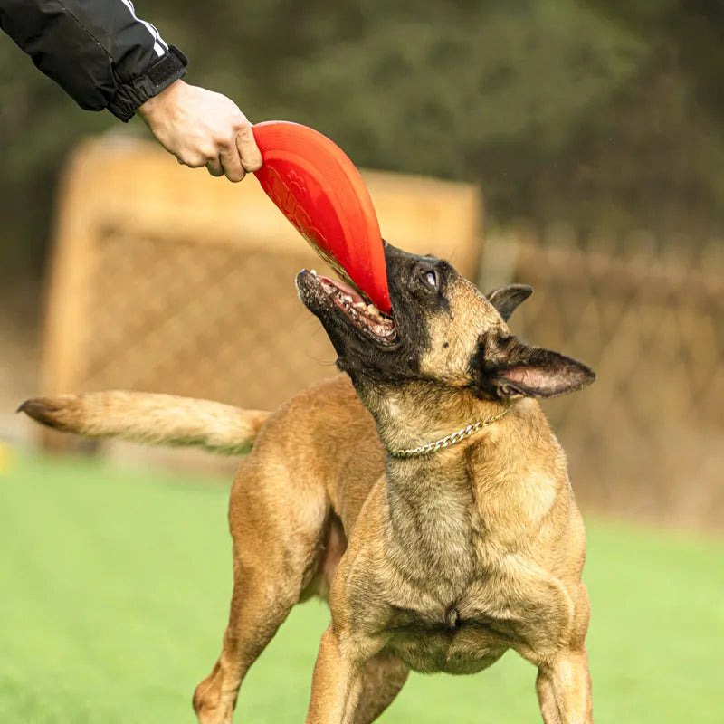 Lisslune | Soft rubber disc toy