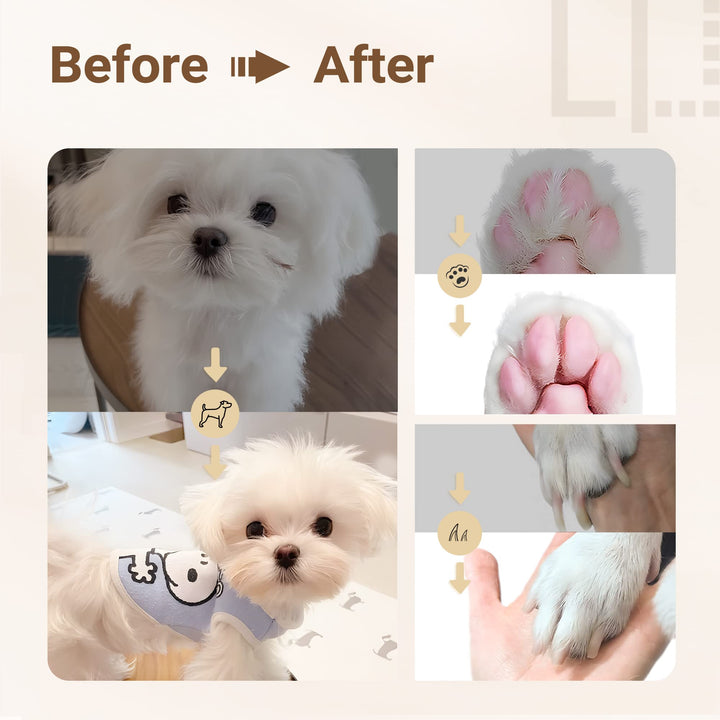Lisslune | Ultimate Pet Grooming Kit - 4-in-1 Electric Clippers with 4 Interchangeable Blades