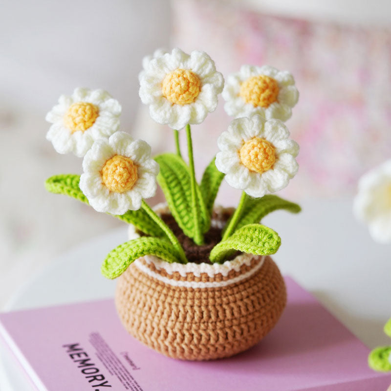 Lisslune | BloomCraft - Decorative flower pots for the elegance of your home