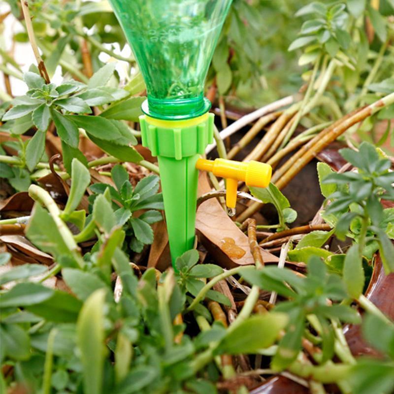 Lisslune | Irrigation System For Potted Plants