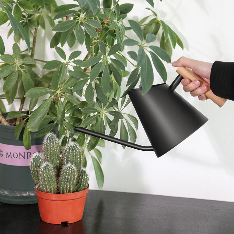 Lisslune | Modern watering can with wooden handle – Stylish watering can for plants in the garden