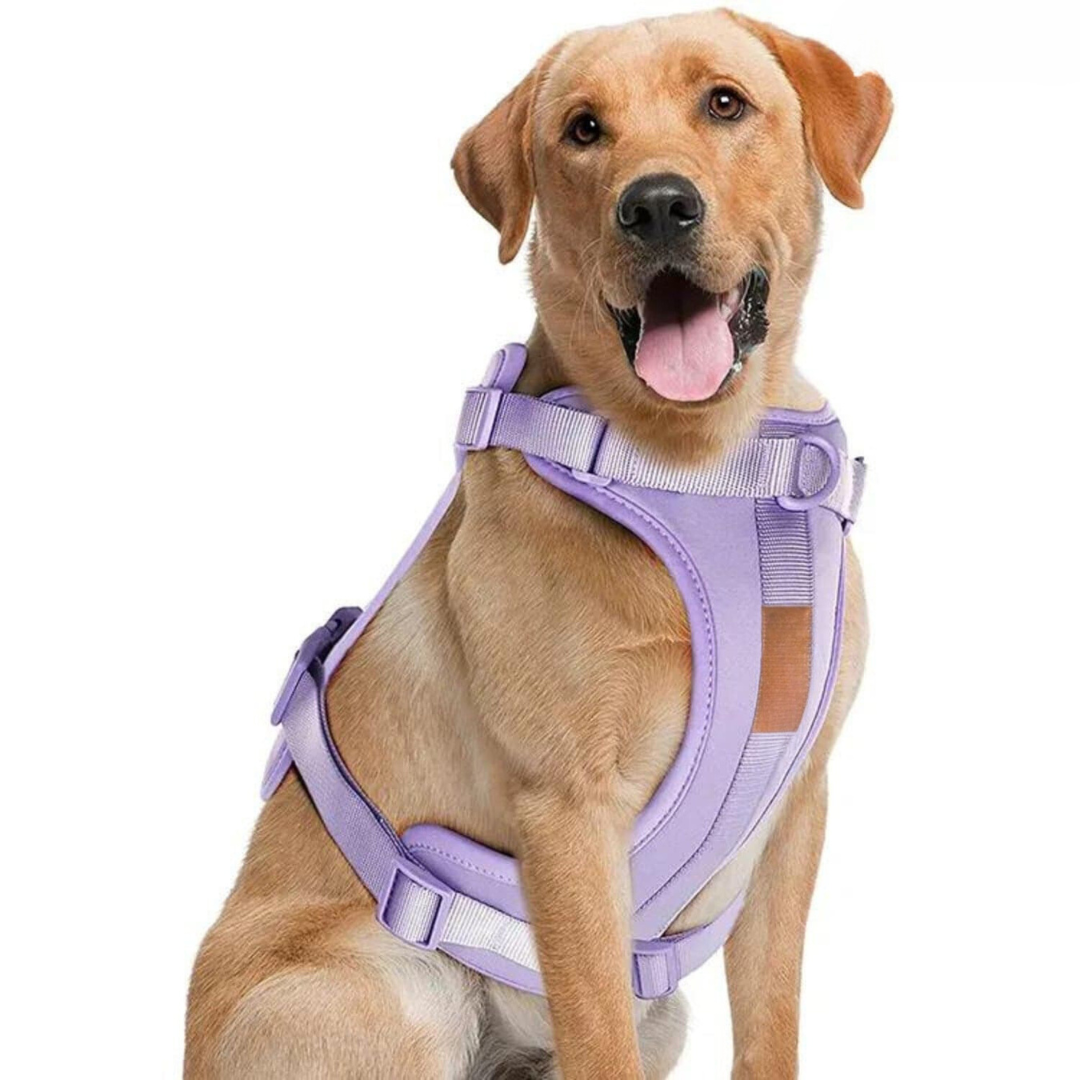 Lisslune | ComfyPaws Dog Harness Walking Set with Leash and Poop Bag Holder