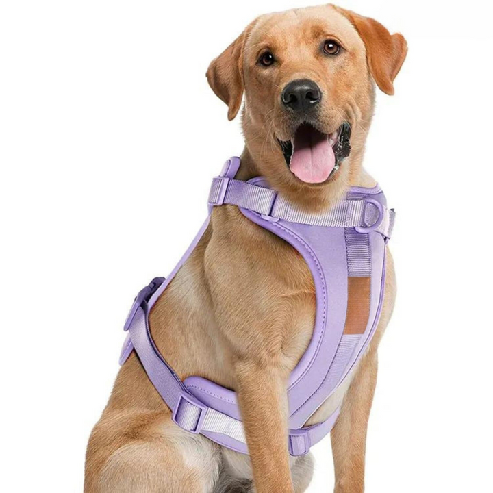 Lisslune | ComfyPaws Dog Harness Walking Set with Leash and Poop Bag Holder