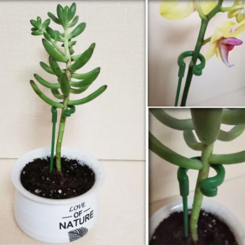 Lisslune | Plant Supports Stake