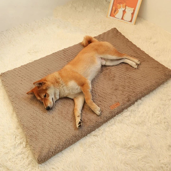 Lisslune | LUXIPLUSH - Orthopedic Dog Bed
