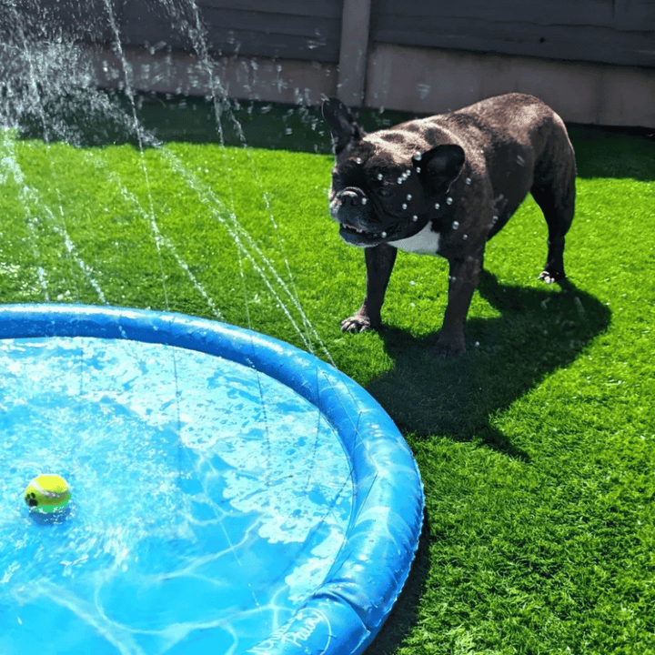 Lisslune | Dogs Water Jet Swimming Pool