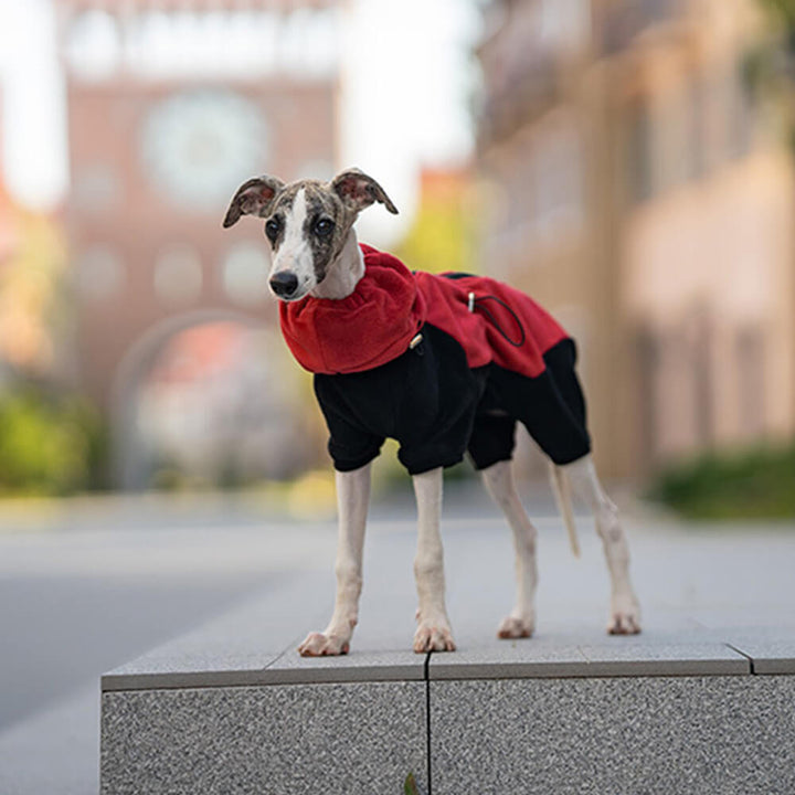 Lisslune | Full Protection Polar Fleece Dog Overall with Removable Collar