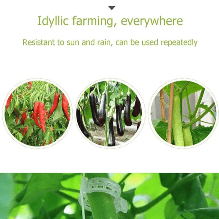Lisslune | Plant support clips