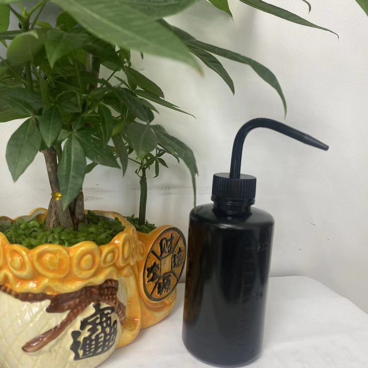 Lisslune | Spot 500ml Squeeze Pouring Bottle – Compact Spray Bottle for Precise Pouring and Dosing