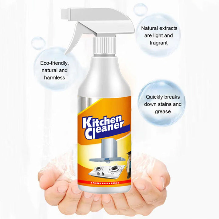 Lisslune | Kitchen Foam Cleaner (500ml)