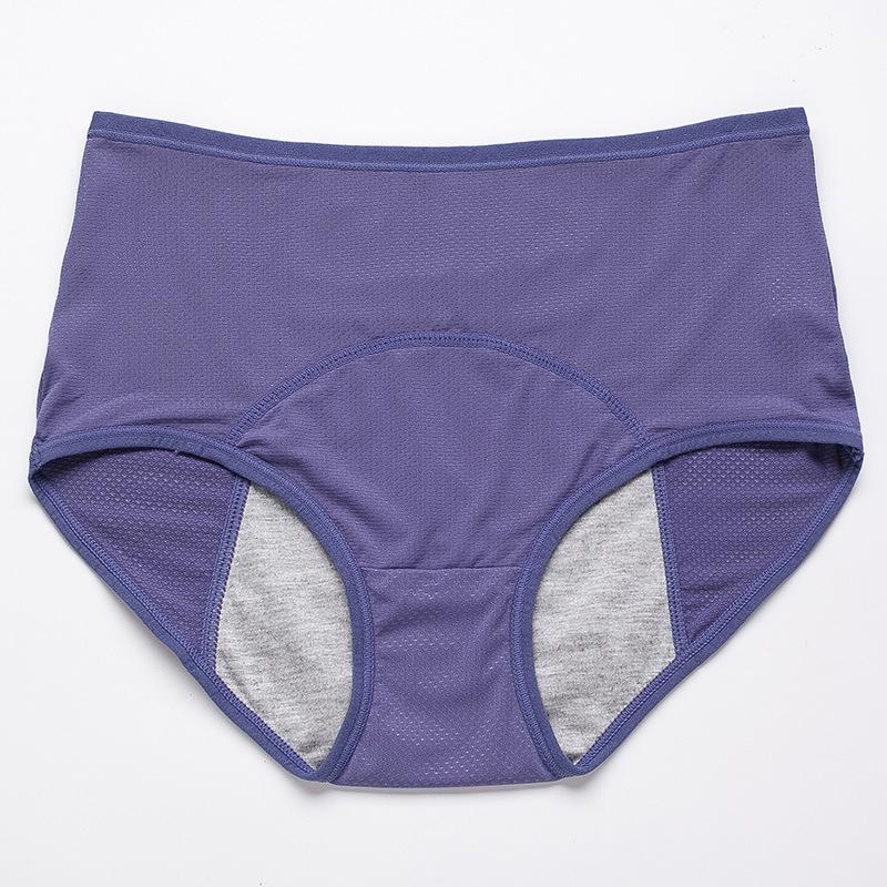 Lisslune | 2024 New Upgrade High-Waisted Leak-Proof Underwear