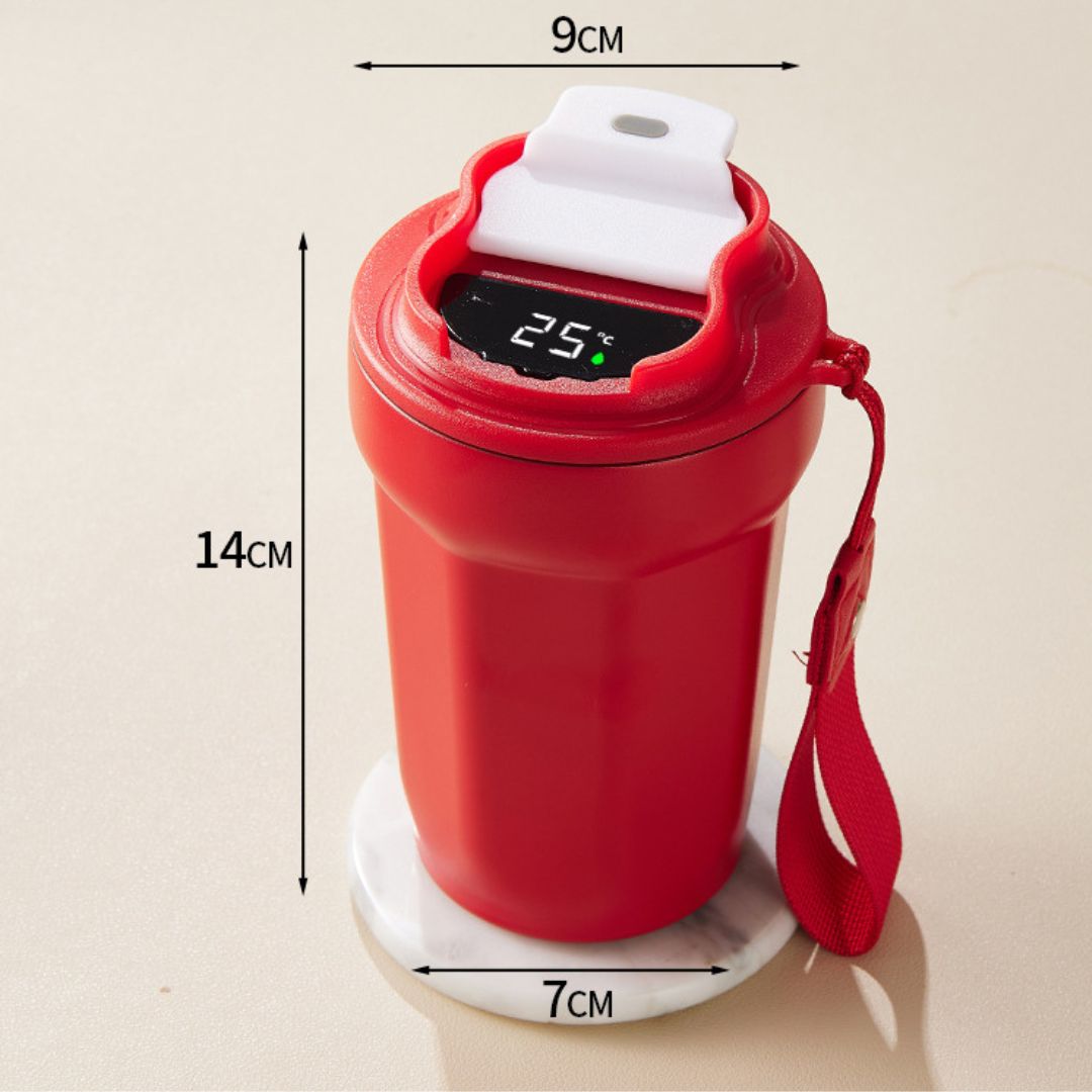 Lisslune | Stainless Steel Coffee Mug with LED Temperature Display 450 ML