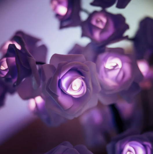 Lisslune | BloomVerve - Radiant Rose Lamp