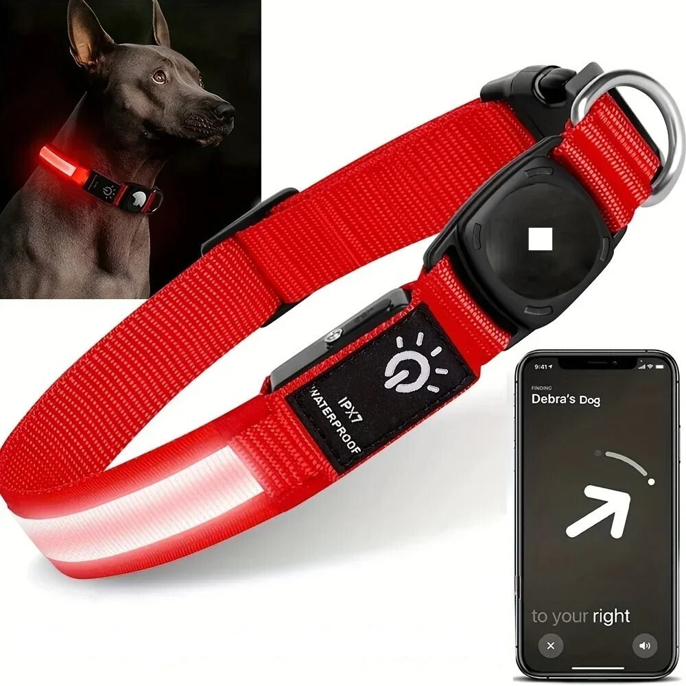Lisslune | Flashing Dog Collars – Waterproof LED Light Up Dog Collar with USB Rechargeable Glow, Dog Collars Illuminated for Night Safety, All Sizes
